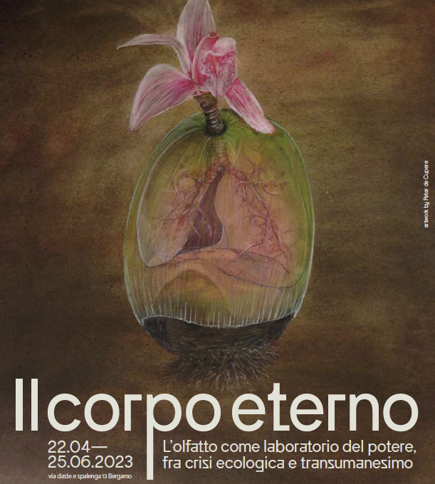 Il corpo eterno