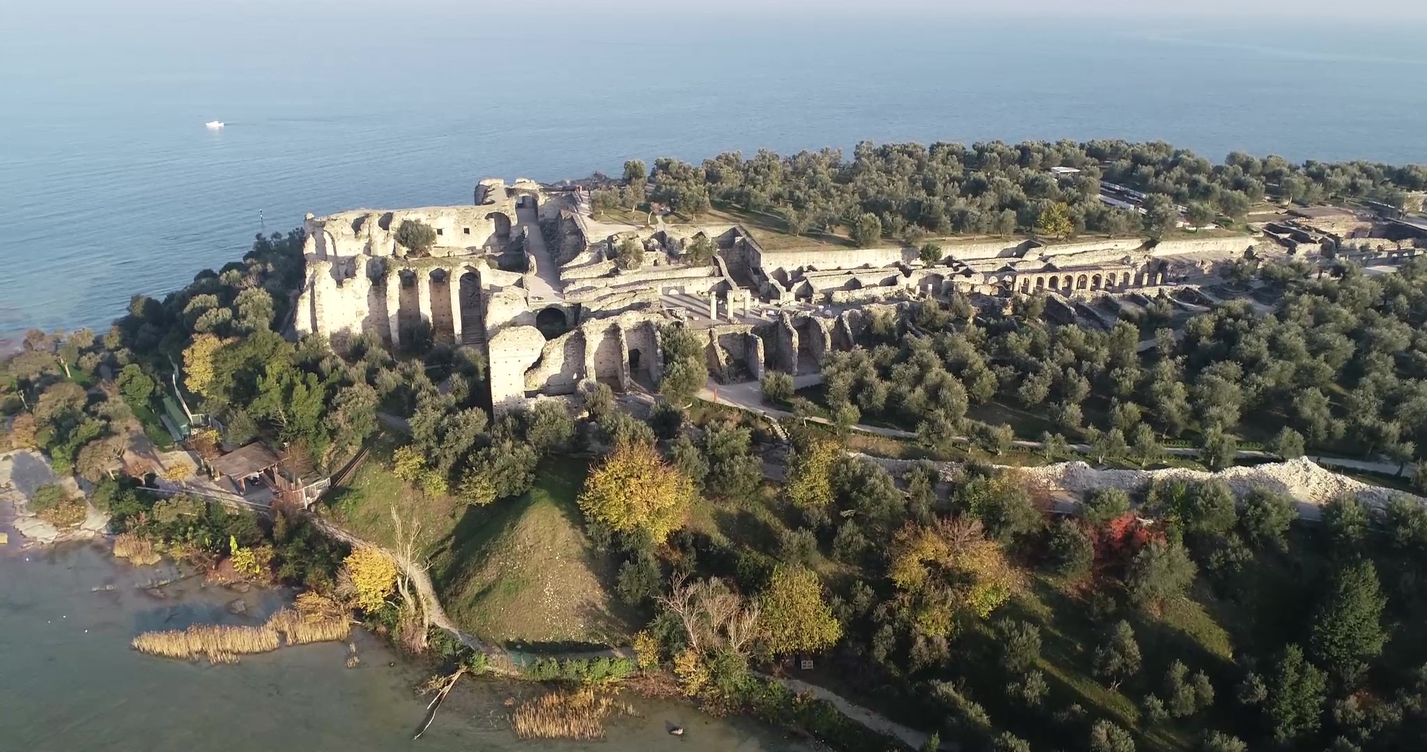 In concessione l’Oliveto Storico delle Grotte di Catullo